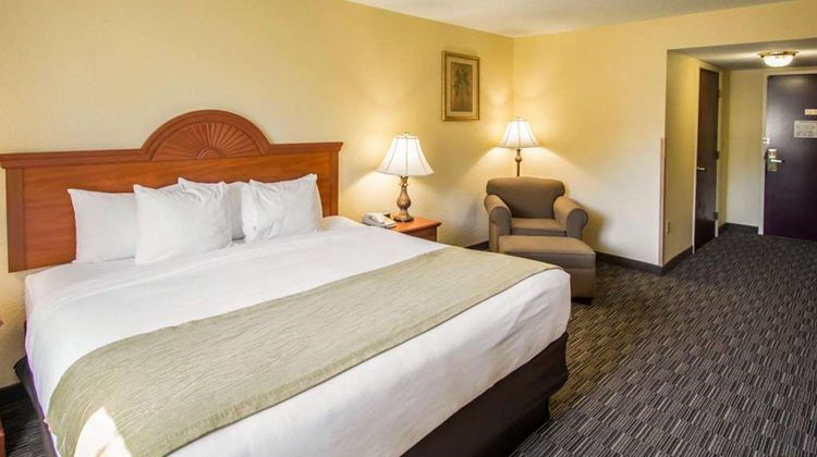 Comfort Inn & Suites Room