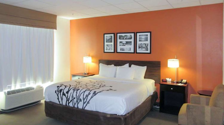 Sleep Inn & Suites Room