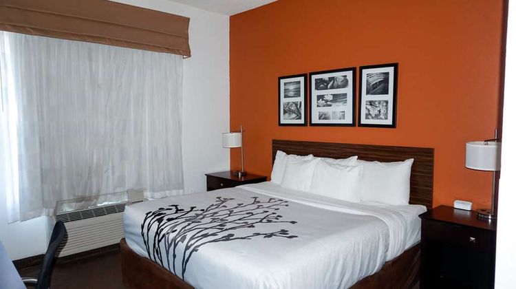 Sleep Inn & Suites Room