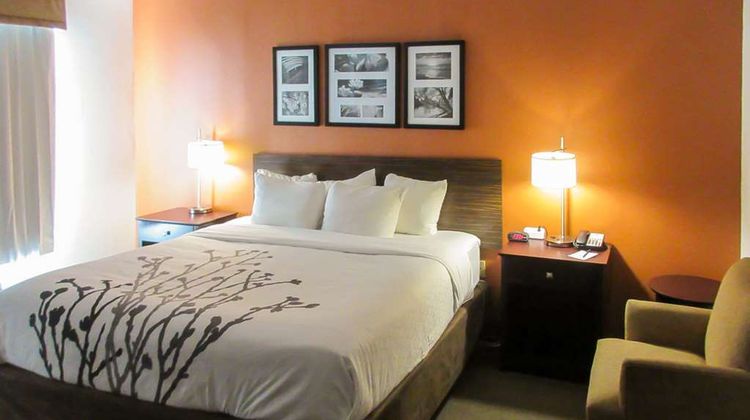 Sleep Inn & Suites Room