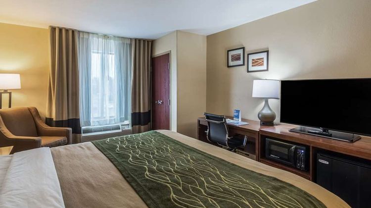 Comfort Inn & Suites Room