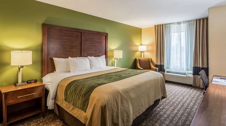 <b>Comfort Inn & Suites Room</b>. Images powered by <a href="https://iceportal.shijigroup.com/" title="IcePortal" target="_blank">IcePortal</a>.
