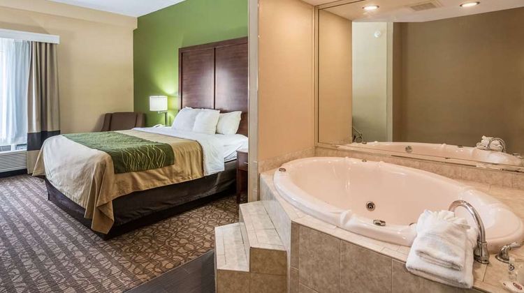 Comfort Inn & Suites Suite