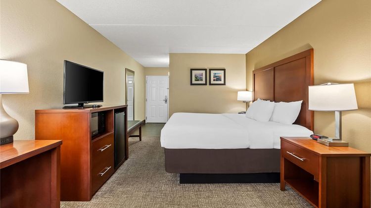 Comfort Inn & Suites Room