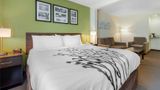 Sleep Inn & Suites Port Charlotte Suite