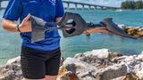 Dolphin Sands Clearwater Beach Other