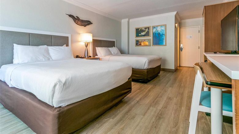 <b>Dolphin Sands Clearwater Beach Suite</b>. Images powered by <a href="https://iceportal.shijigroup.com/" title="IcePortal" target="_blank">IcePortal</a>.