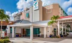 Dolphin Sands Clearwater Beach