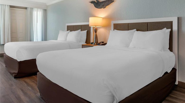 <b>Dolphin Sands Clearwater Beach Room</b>. Images powered by <a href="https://iceportal.shijigroup.com/" title="IcePortal" target="_blank">IcePortal</a>.