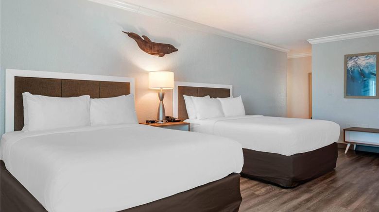 <b>Dolphin Sands Clearwater Beach Room</b>. Images powered by <a href="https://iceportal.shijigroup.com/" title="IcePortal" target="_blank">IcePortal</a>.