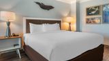 Dolphin Sands Clearwater Beach Room