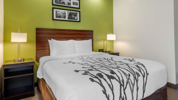 Spot X Hotel Tampa - Wesley Chapel Room