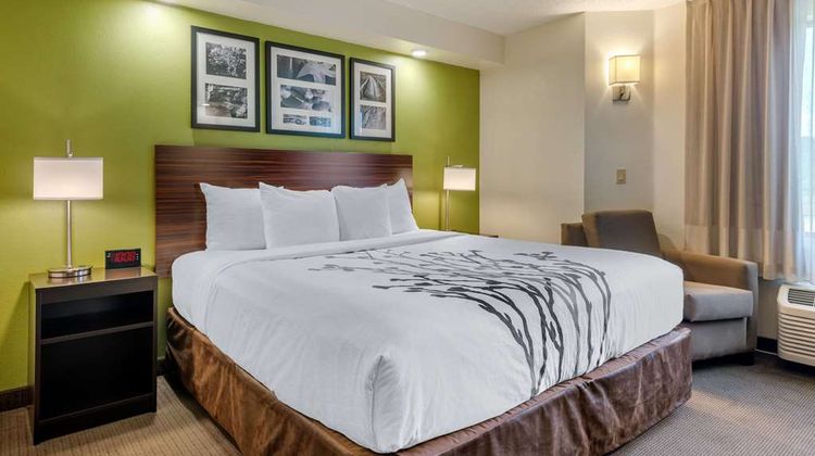 Spot X Hotel Tampa - Wesley Chapel Room