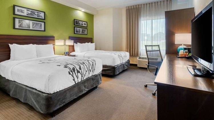 Spot X Hotel Tampa - Wesley Chapel Room