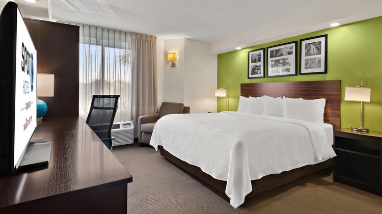 Spot X Hotel Tampa - Wesley Chapel Room