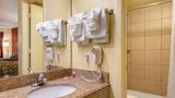 Econo Lodge Inn and Suites Maingate Central Room