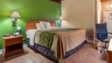 Econo Lodge Tallahassee Downtown Room
