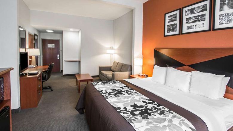 <b>Sleep Inn & Suites Palatka Suite</b>. Images powered by <a href="https://iceportal.shijigroup.com/" title="IcePortal" target="_blank">IcePortal</a>.