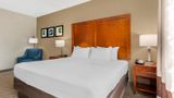Comfort Inn & Stes Wildwood The Villages Room