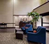 Comfort Inn & Suites Lobby
