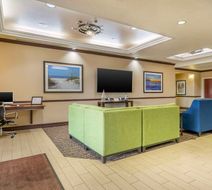 Comfort Inn & Suites Northeast Gateway Lobby