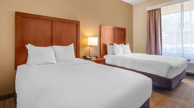 Comfort Inn & Suites Northeast Gateway Room