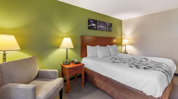 Sleep Inn & Suites Jacksonville Room