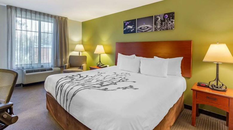 <b>Sleep Inn & Suites Jacksonville Room</b>. Images powered by <a href="https://iceportal.shijigroup.com/" title="IcePortal" target="_blank">IcePortal</a>.