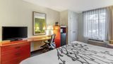 Sleep Inn & Suites Jacksonville Room