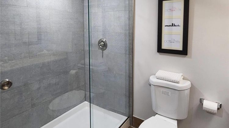 Comfort Suites Baymeadows Room