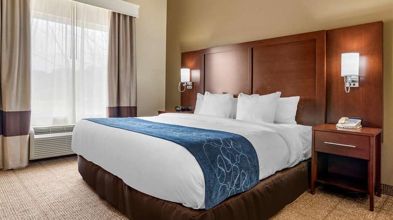 <b>Comfort Suites At Eglin Air Force Base Room</b>. Images powered by <a href="https://iceportal.shijigroup.com/" title="IcePortal" target="_blank">IcePortal</a>.
