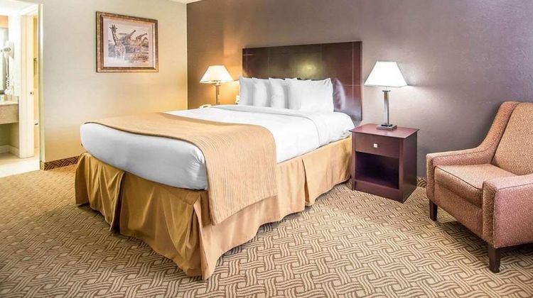 Quality Inn & Suites Room