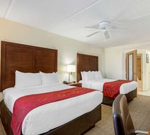 Comfort Inn Room