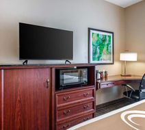 Quality Inn Room