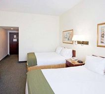 Econo Lodge Wesley Chapel Room