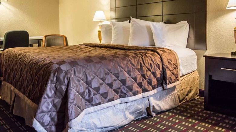 <b>Rodeway Inn & Suites, Tampa Room</b>. Images powered by <a href="https://iceportal.shijigroup.com/" title="IcePortal" target="_blank">IcePortal</a>.