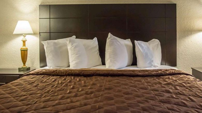 <b>Rodeway Inn & Suites, Tampa Room</b>. Images powered by <a href="https://iceportal.shijigroup.com/" title="IcePortal" target="_blank">IcePortal</a>.