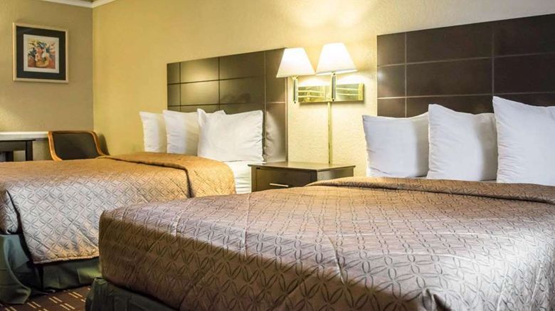 <b>Rodeway Inn & Suites, Tampa Room</b>. Images powered by <a href="https://iceportal.shijigroup.com/" title="IcePortal" target="_blank">IcePortal</a>.