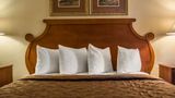 Rodeway Inn & Suites, Tampa Suite