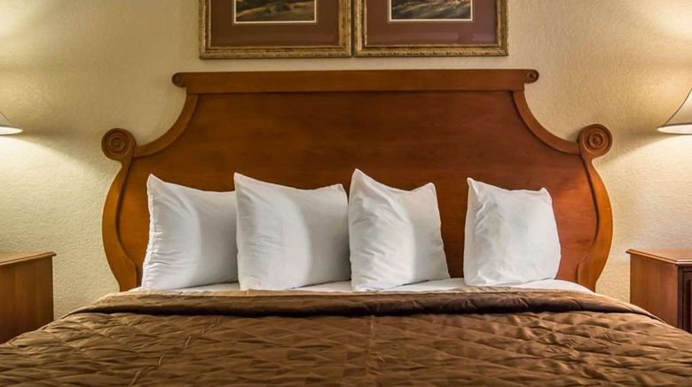 <b>Rodeway Inn & Suites, Tampa Suite</b>. Images powered by <a href="https://iceportal.shijigroup.com/" title="IcePortal" target="_blank">IcePortal</a>.