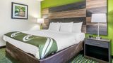 <b>Quality Inn Suite</b>. Images powered by <a href="https://iceportal.shijigroup.com/" title="IcePortal" target="_blank">IcePortal</a>.