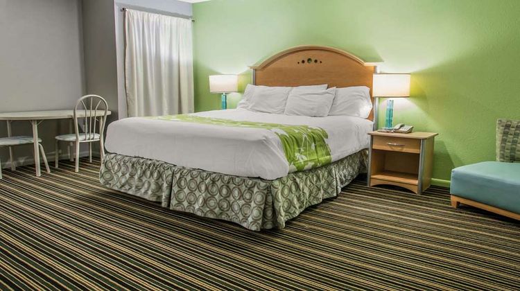 Rodeway Inn & Suites Winter Haven Room