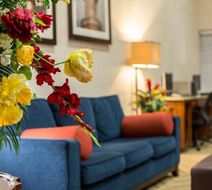 Comfort Suites Lobby