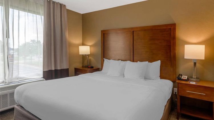 Comfort Inn & Suites Room