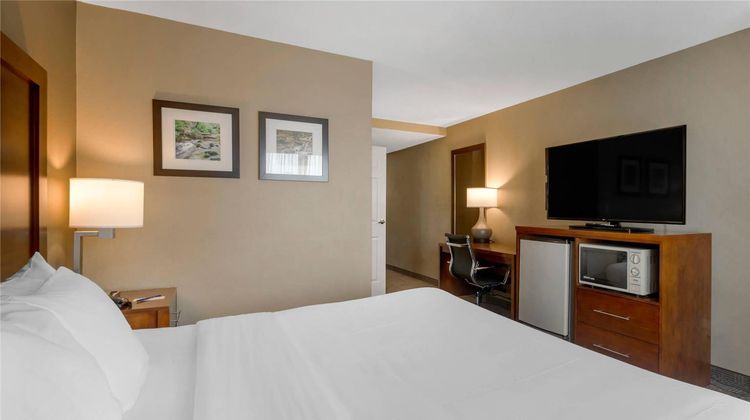 Comfort Inn & Suites Room