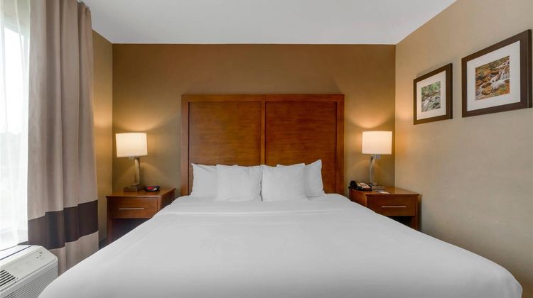 Comfort Inn & Suites Room