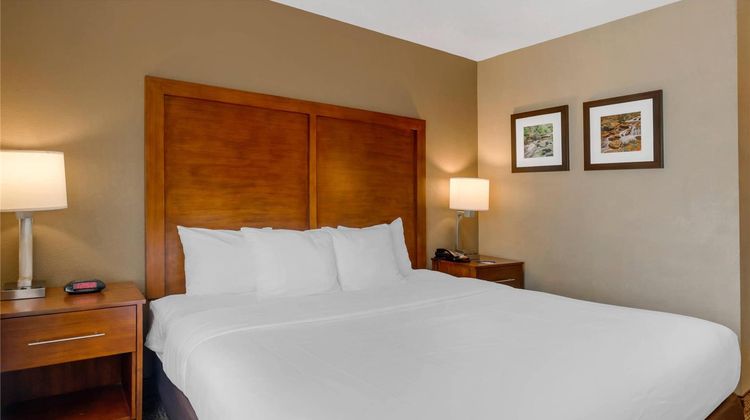 Comfort Inn & Suites Room