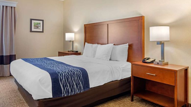 <b>Comfort Inn Douglasville Room</b>. Images powered by <a href="https://iceportal.shijigroup.com/" title="IcePortal" target="_blank">IcePortal</a>.