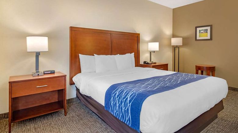 <b>Comfort Inn Douglasville Room</b>. Images powered by <a href="https://iceportal.shijigroup.com/" title="IcePortal" target="_blank">IcePortal</a>.
