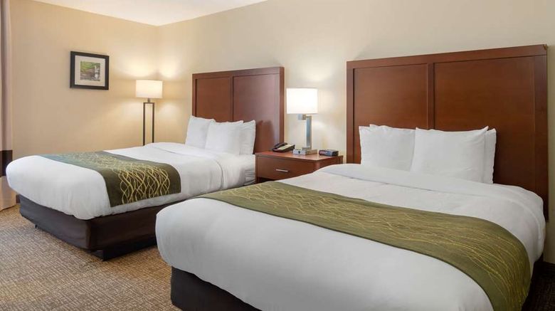 <b>Comfort Inn Douglasville Room</b>. Images powered by <a href="https://iceportal.shijigroup.com/" title="IcePortal" target="_blank">IcePortal</a>.